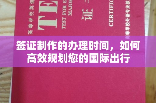 浦江签证制作的办理时间，如何高效规划您的国际出行